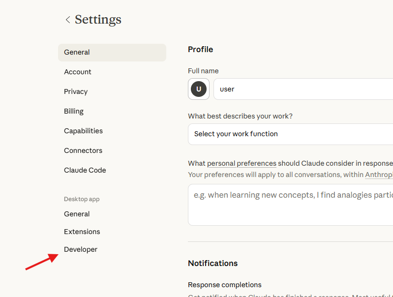 Settings window — Developer option